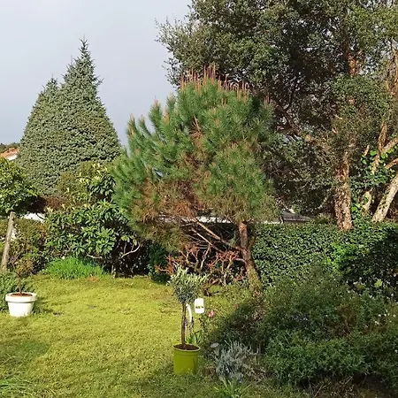 Dziunia Jardin Terrasse Ok Σπίτι διακοπών