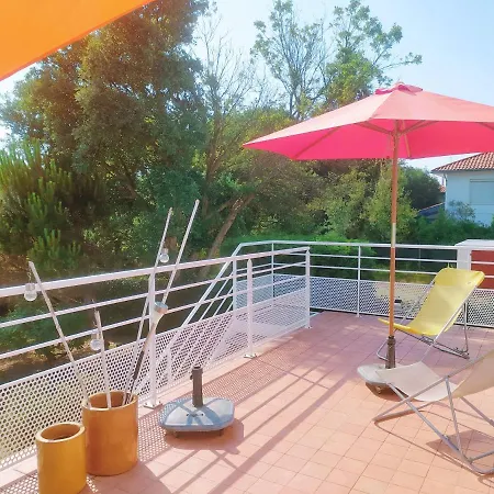 Dziunia Jardin Terrasse Ok Σπίτι διακοπών Tarnos